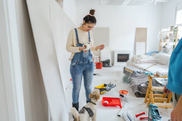 Best Drywall Installation  in Sigourney, IA