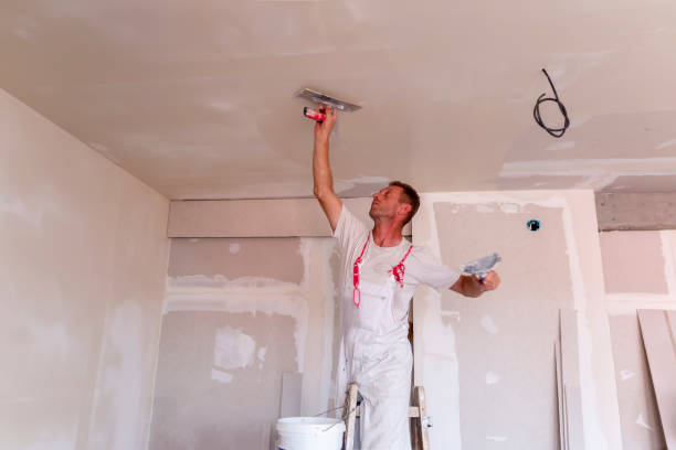 Best Fire-Damaged Drywall Repair  in Sigourney, IA